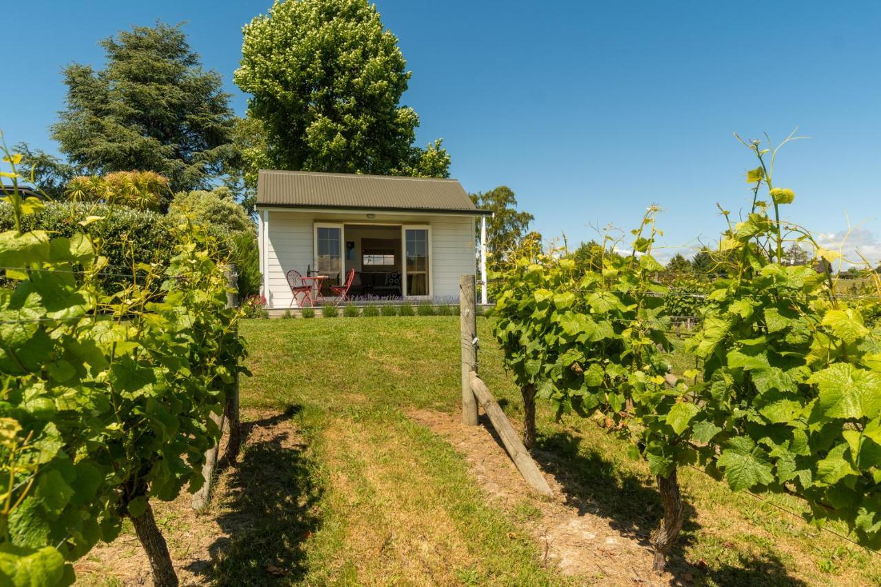 Kina Beach Cottages Tasman エクステリア 写真